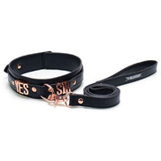 Punishment Rose Gold Yes Sir Collar and Leash