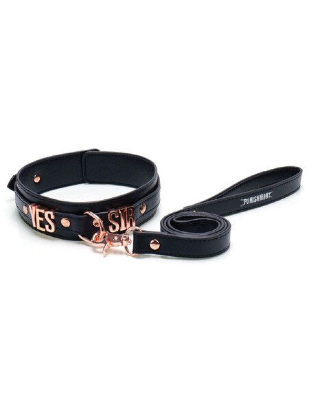 Punishment Rose Gold Yes Sir Collar and Leash