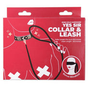 Punishment Rose Gold Yes Sir Collar and Leash