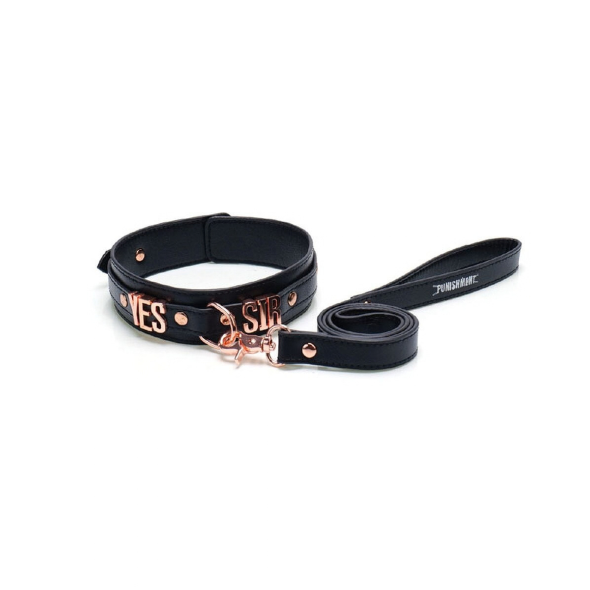 Punishment Rose Gold Yes Sir Collar and Leash