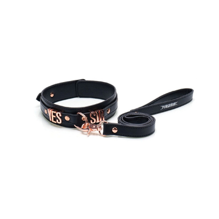 Punishment Rose Gold Yes Sir Collar and Leash