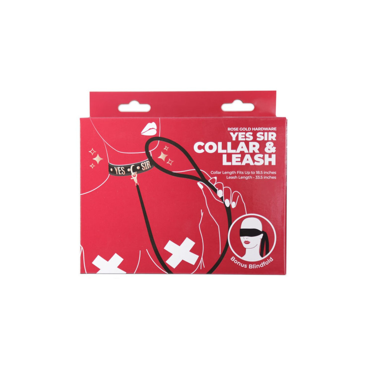 Punishment Rose Gold Yes Sir Collar and Leash