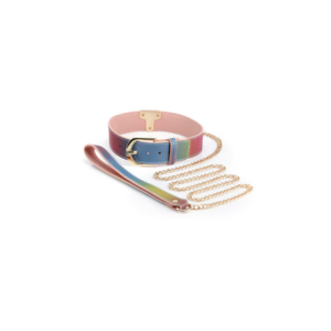 Spectra Bondage Collar and Leash Rainbow
